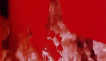 The Forbidden Fruit 1983 - Full Movie